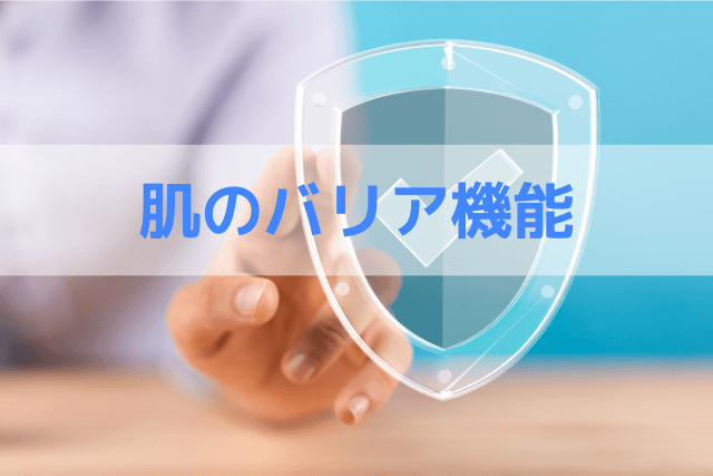 肌のバリア機能