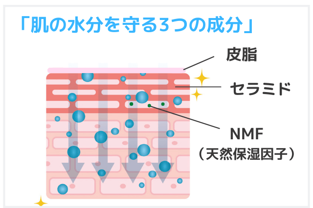肌を守る主な3つの保湿成分