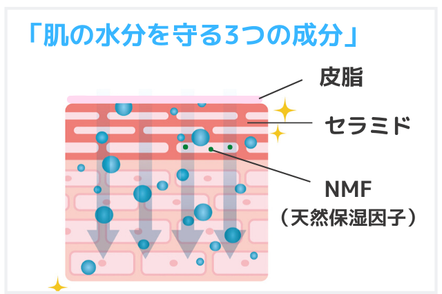 肌を守る主な3つの保湿成分