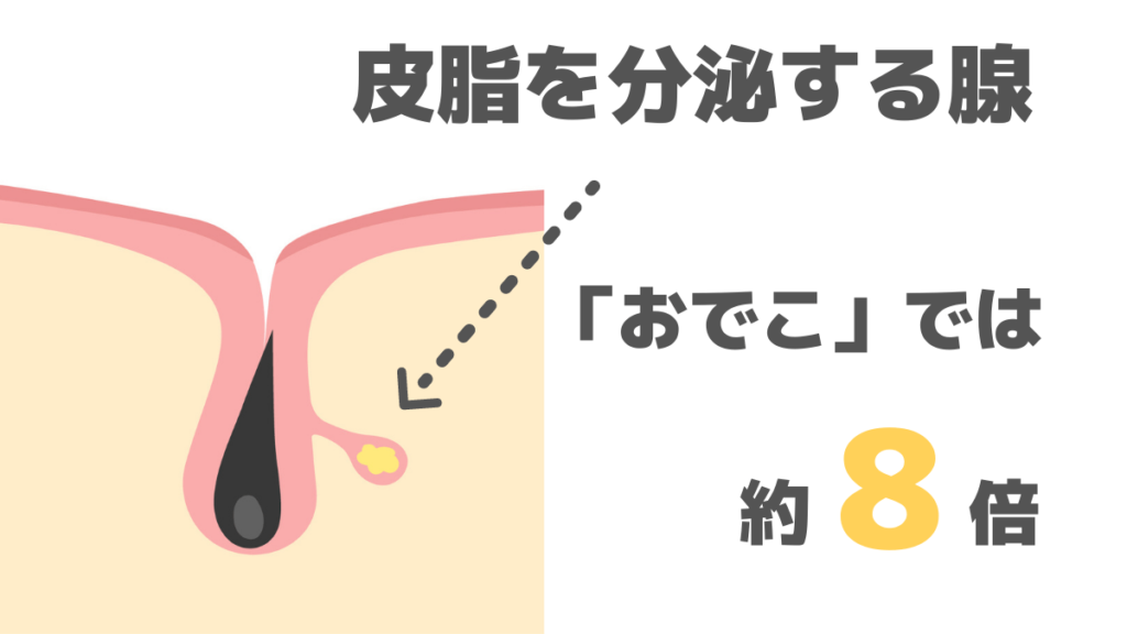 部位ごとの皮脂量の違い
