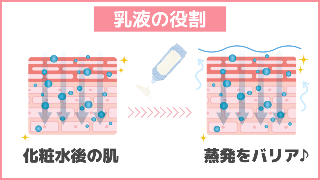 乳液の効果・役割