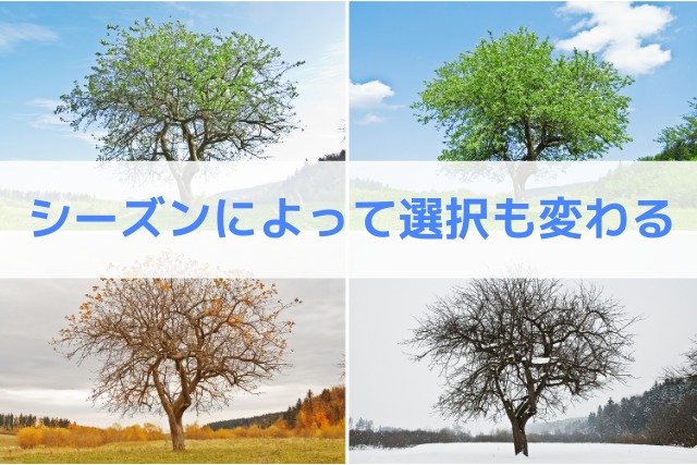 シーズンによって選択も変わる