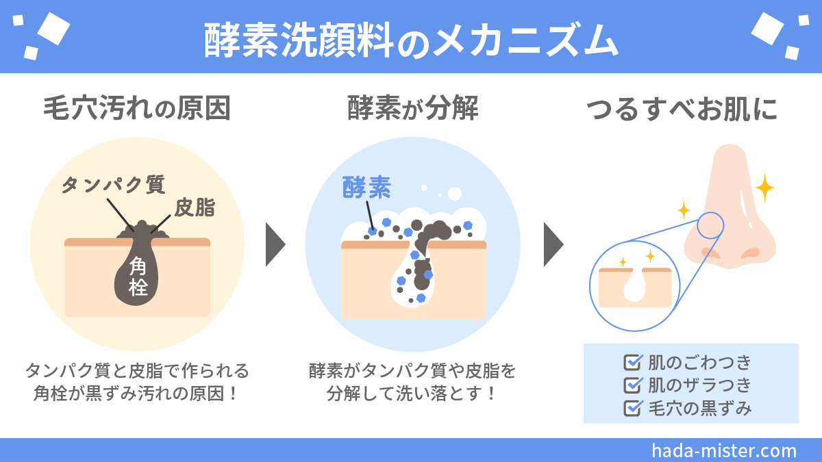 酵素洗顔料の効果・メカニズム