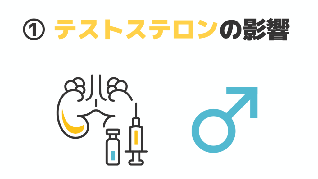 男性ホルモン「テストステロン」の影響