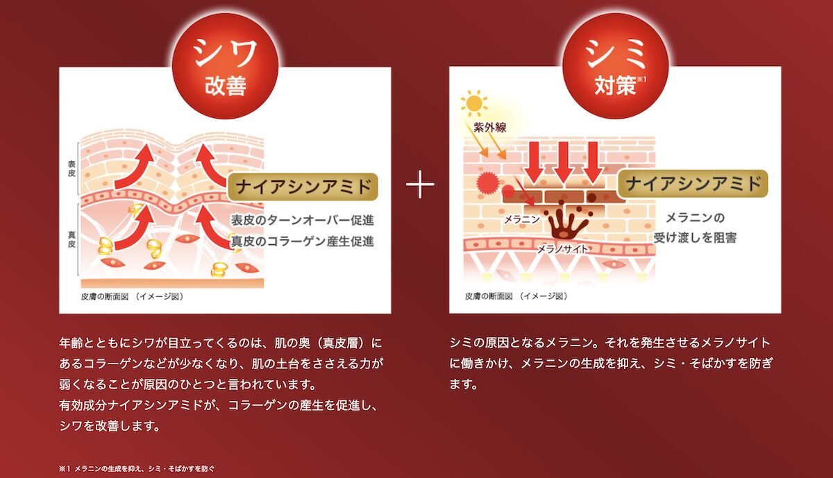 極潤「薬用ハリ化粧水」のナイアシンアミドのシワ改善・シミ対策効果