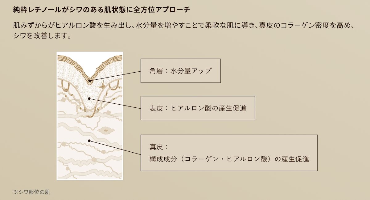 純粋レチノールのシワ改善効果・メカニズム