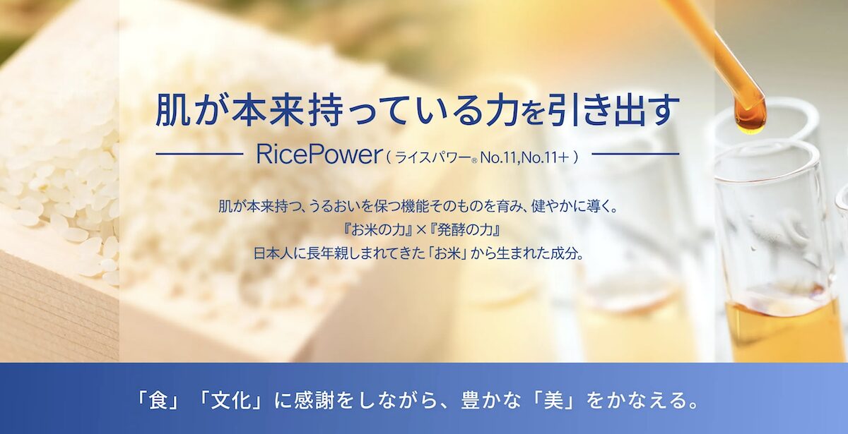 シワ改善有効成分「ライスパワーNo.11プラス」