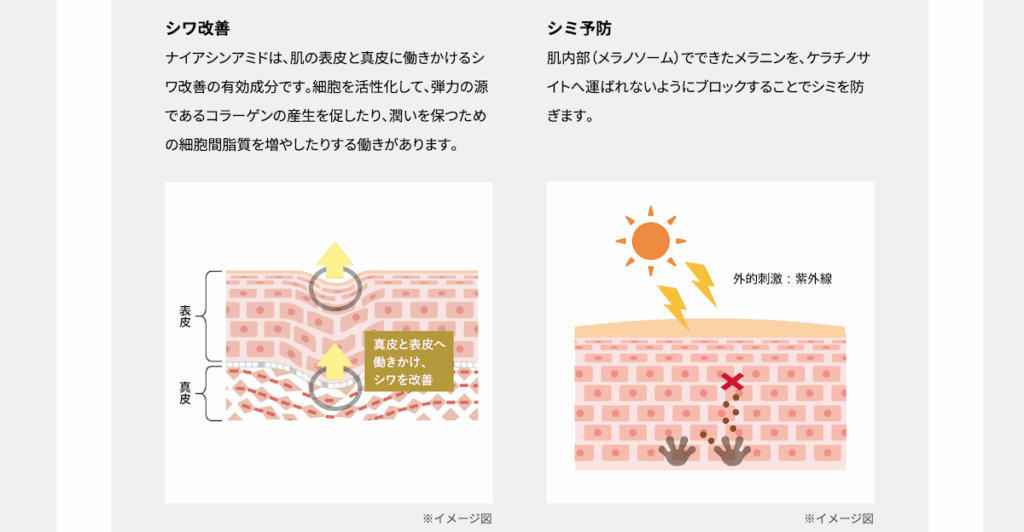 ルシードのオールインワンに配合されている有効成分